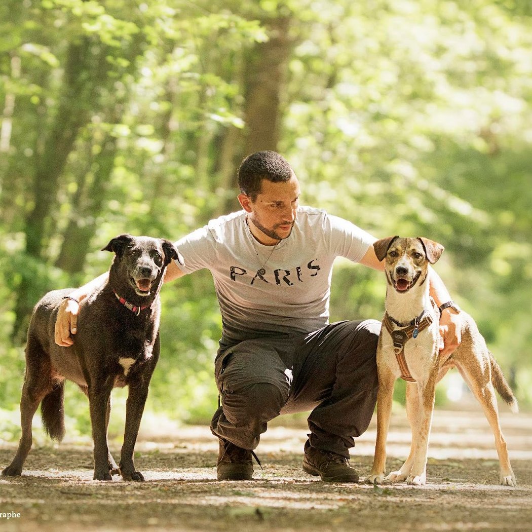 Le Bon Compagnon - Dog Walker & Educateur Canin 1